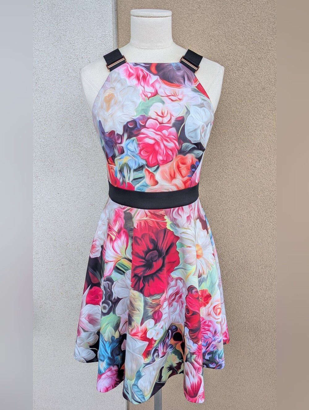 Ted Baker Samra Floral Swirl Sleeveless Skater Dress Size 1 US 4